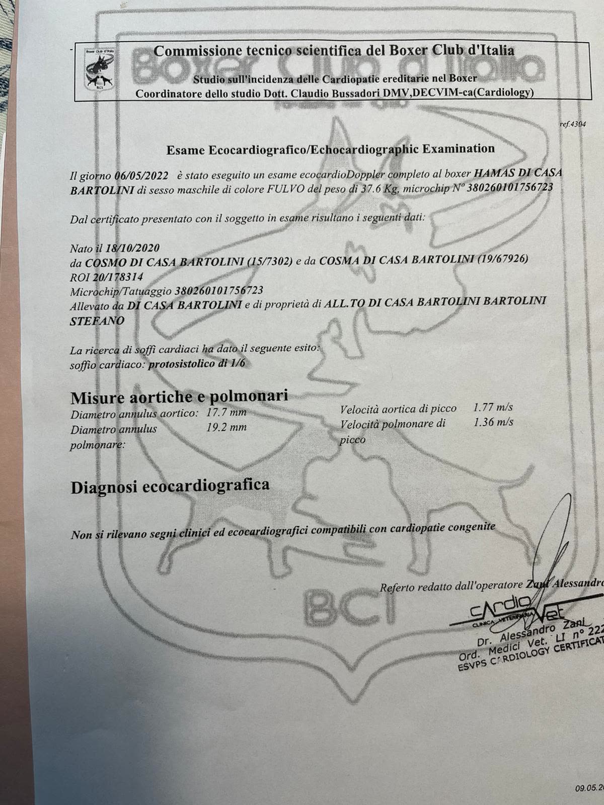 Hamas di Casa Bartolini — documenti
