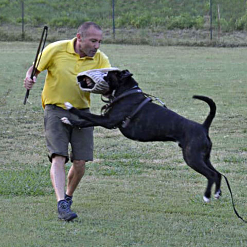 Marlon di Casa Bartolini
