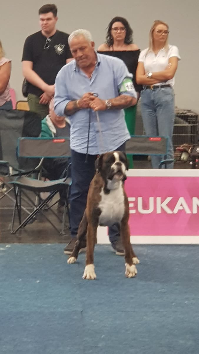 Mika di Casa Bartolini