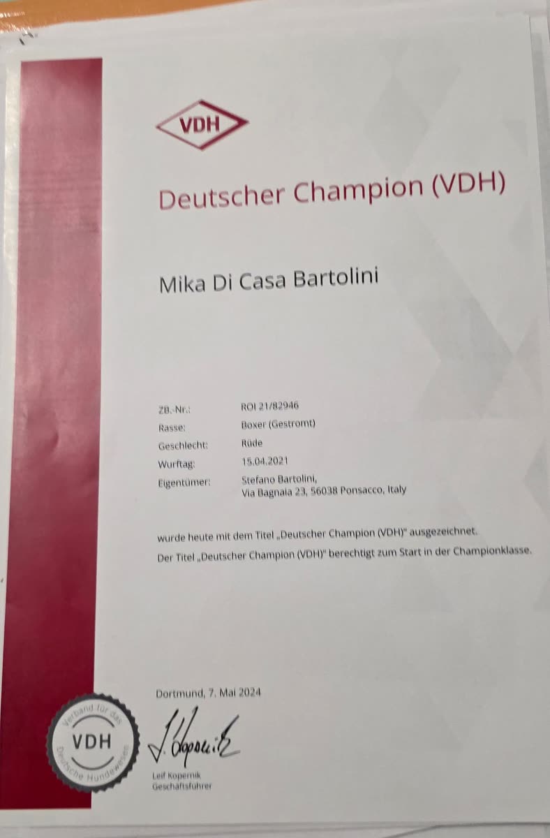 Mika di Casa Bartolini