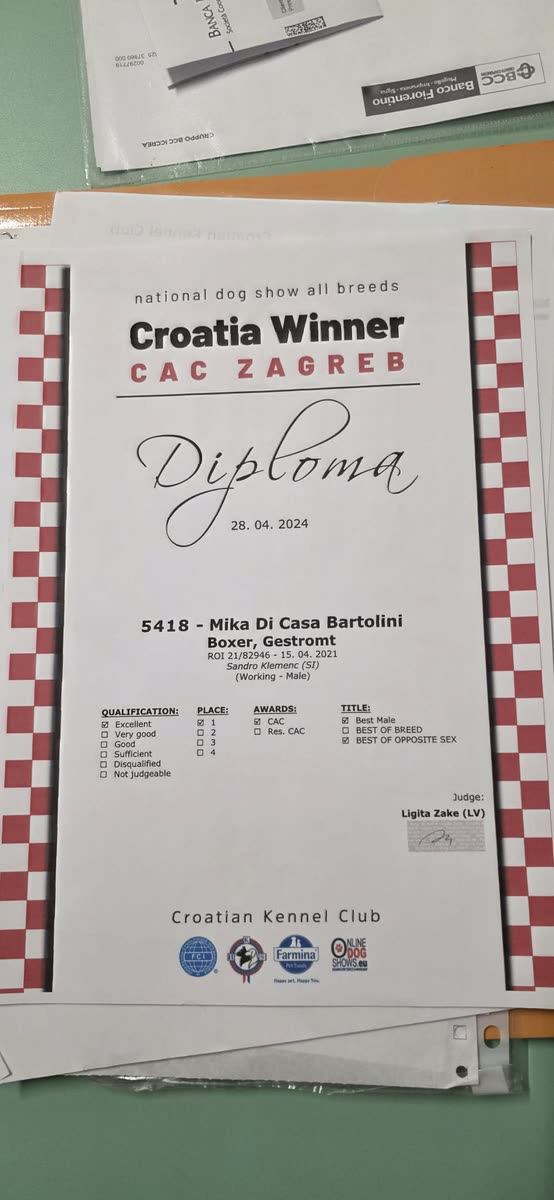 Mika di Casa Bartolini