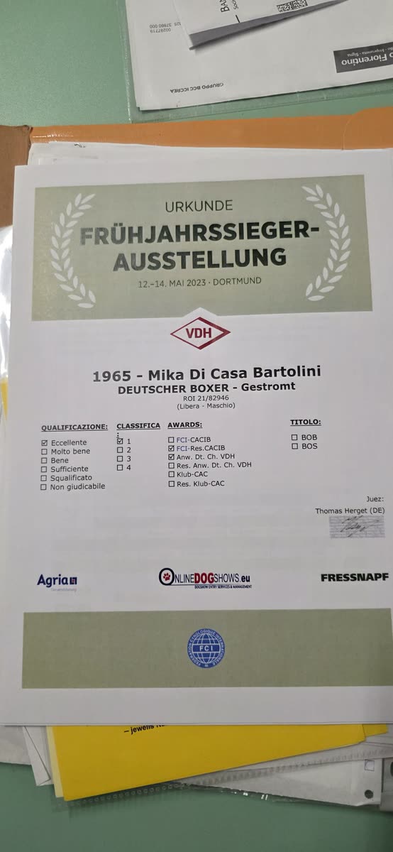 Mika di Casa Bartolini