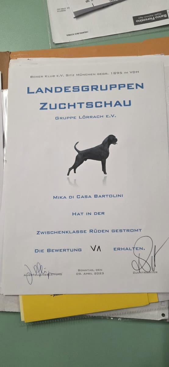 Mika di Casa Bartolini