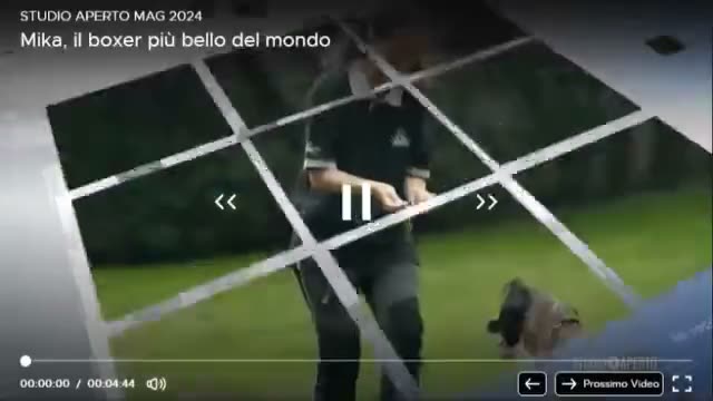 Mika di Casa Bartolini