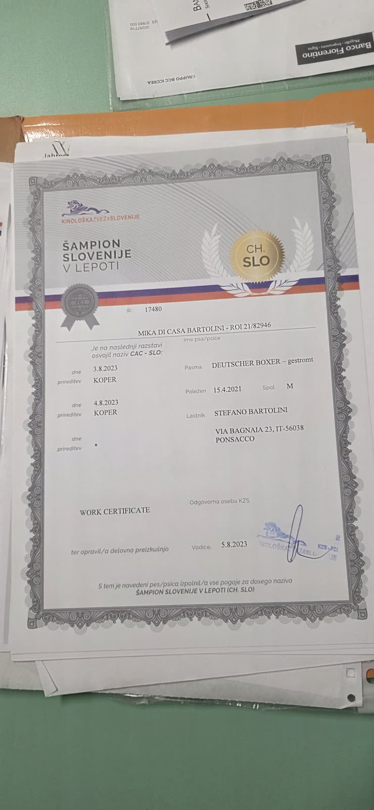 Mika di Casa Bartolini — documenti