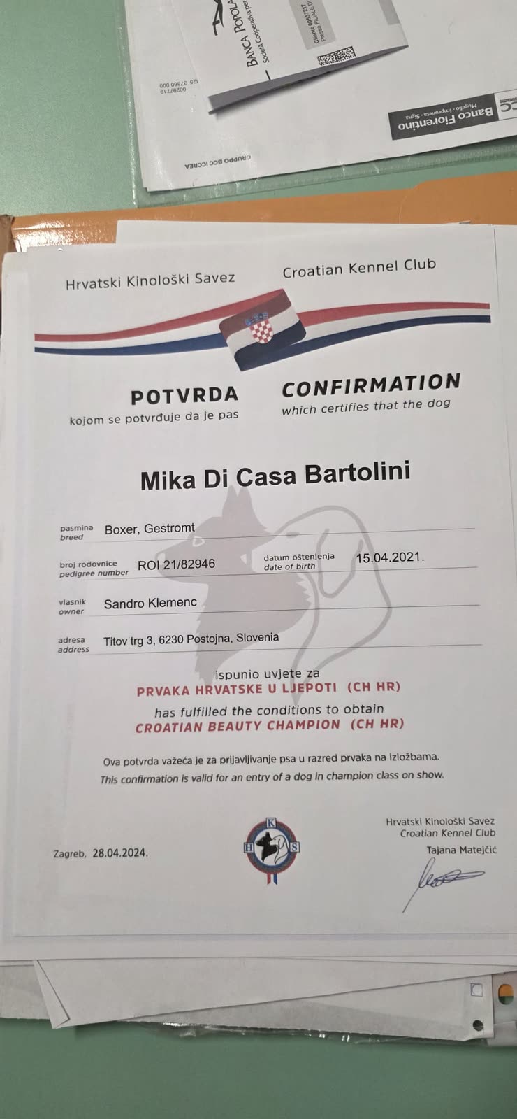 Mika di Casa Bartolini — documenti