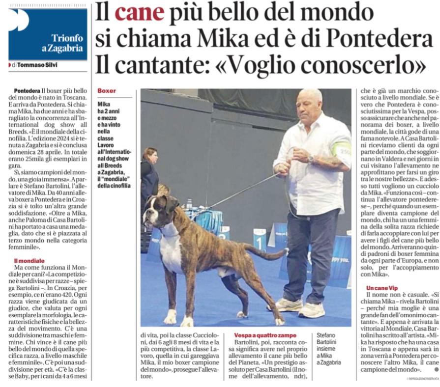 Mika di Casa Bartolini