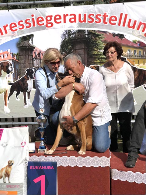 Zeus di Casa Bartolini