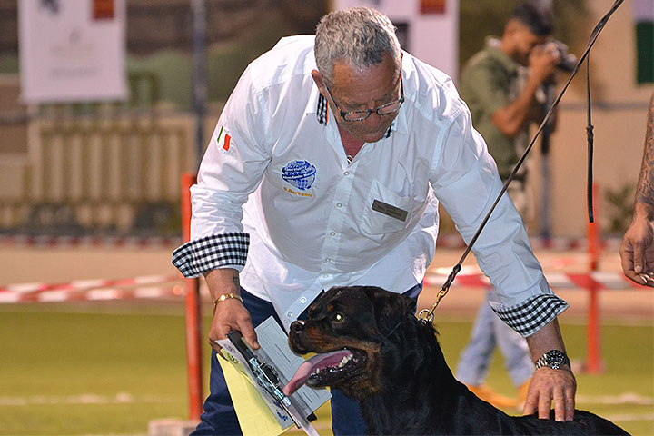Stefano Bartolini giudice al Dog Show del Bahrain 2018