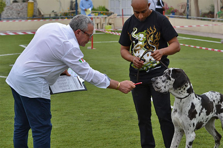 Stefano Bartolini giudice al Dog Show del Bahrain 2018