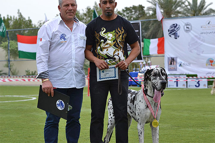 Stefano Bartolini giudice al Dog Show del Bahrain 2018