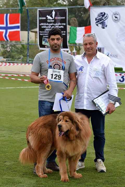 Stefano Bartolini giudice al Dog Show del Bahrain 2018