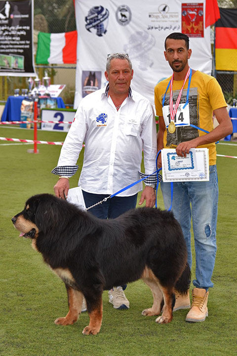 Stefano Bartolini giudice al Dog Show del Bahrain 2018