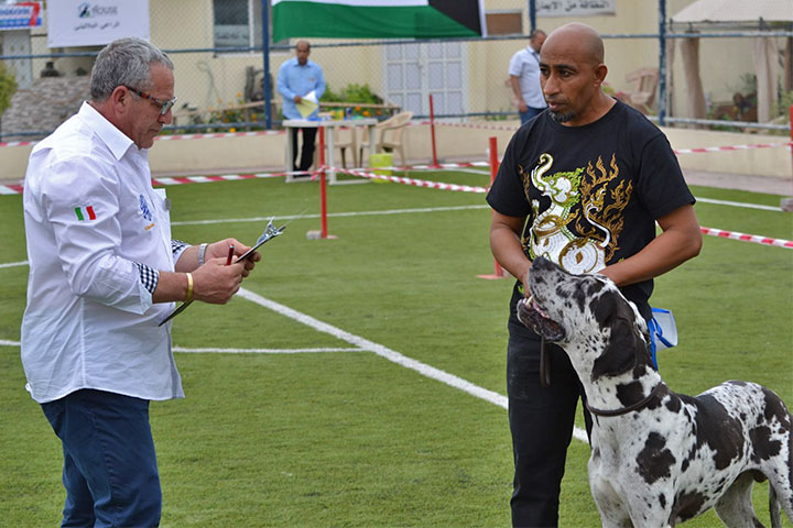 Stefano Bartolini giudice al Dog Show del Bahrain 2018