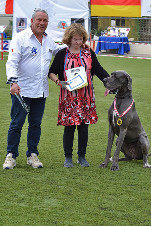 Stefano Bartolini giudice al Dog Show del Bahrain 2018