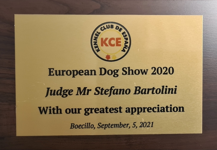 Stefano Bartolini giudice in Spagna