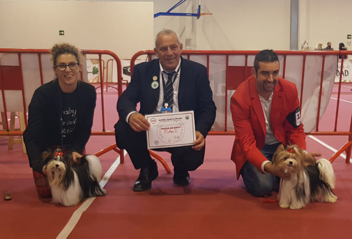 giudice in Spagna