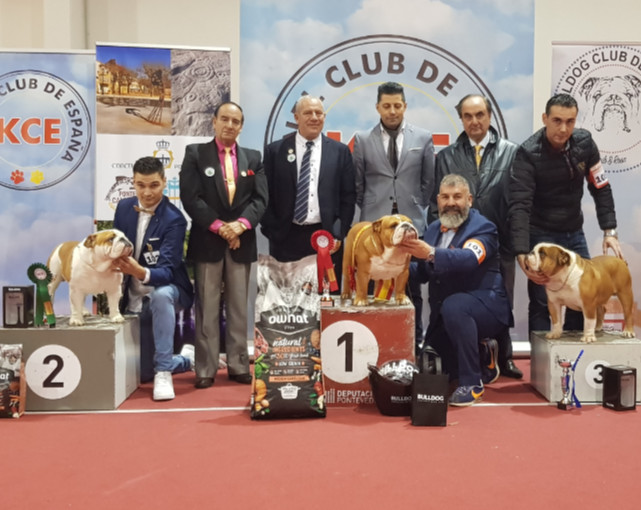 giudice in Spagna
