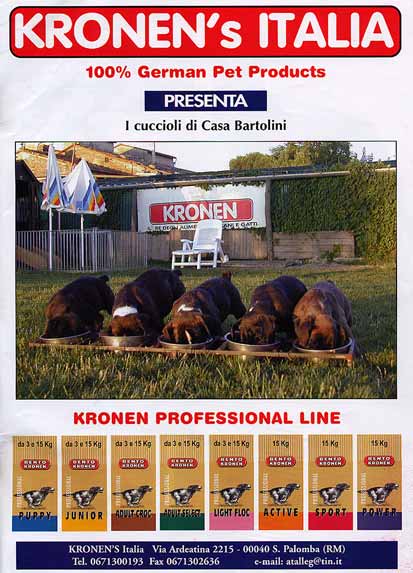 Kronen e Merrik