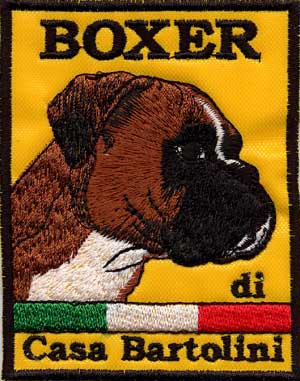 la nuova patch