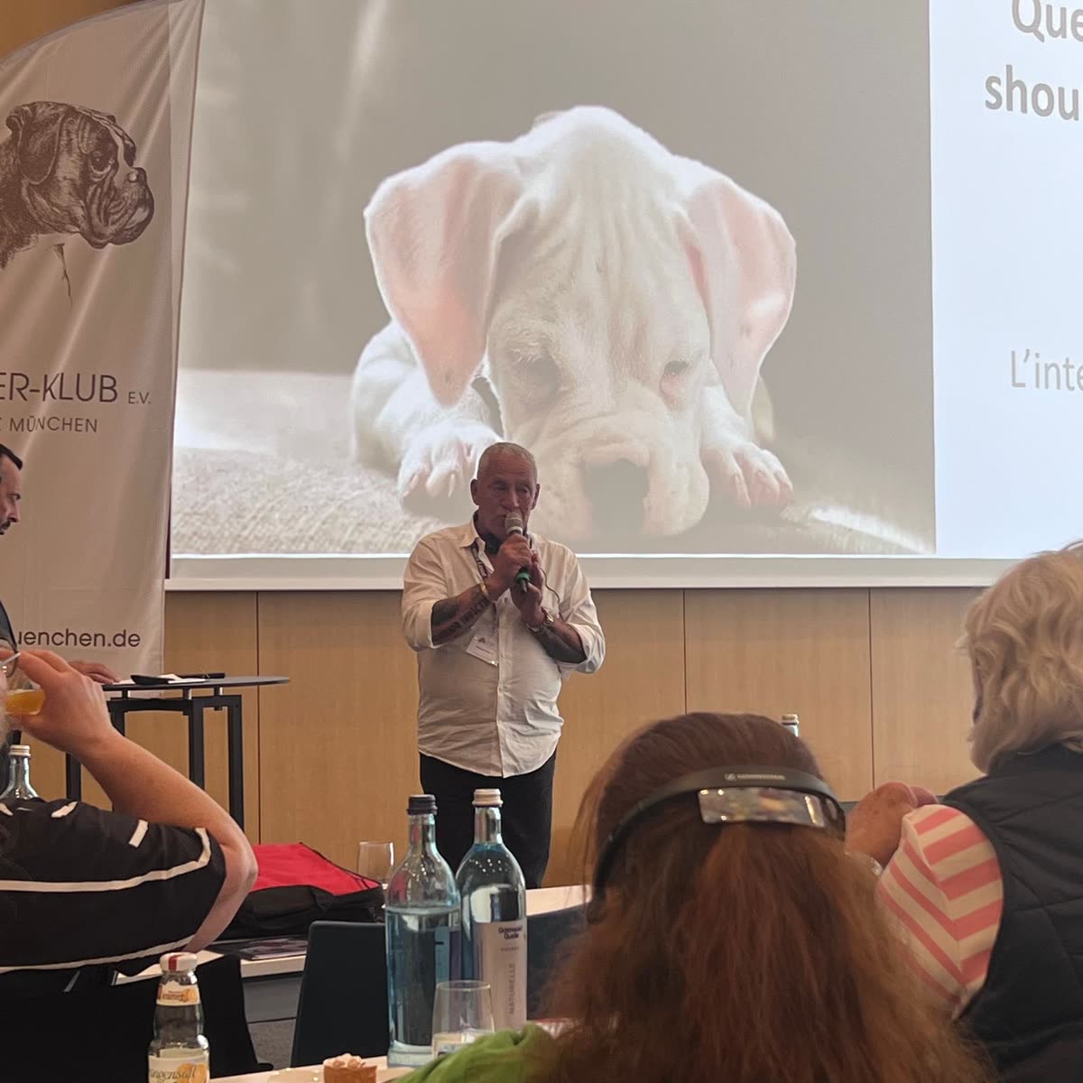 Welt-Boxer-Symposium 2026