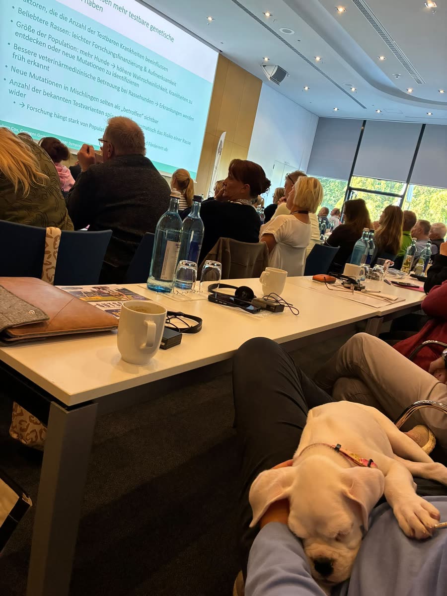 Welt-Boxer-Symposium 2026