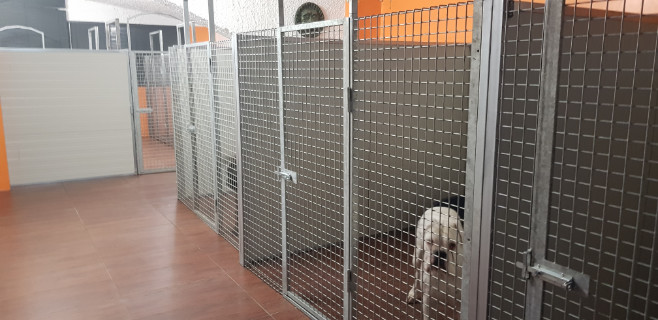 Sede di Potenza Allevamento Casa Bartolini