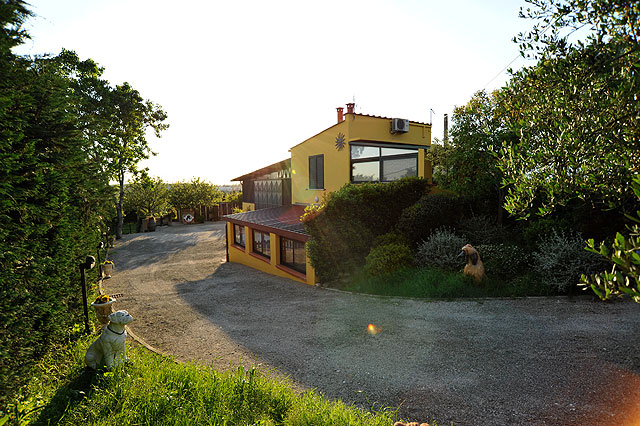 Allevamento Boxer Casa Bartolini