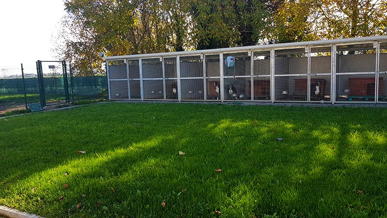 Sede di Parma Allevamento Casa Bartolini