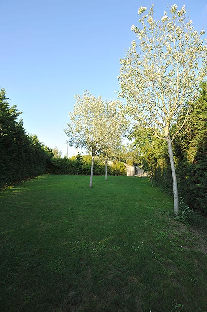 Allevamento Boxer Casa Bartolini