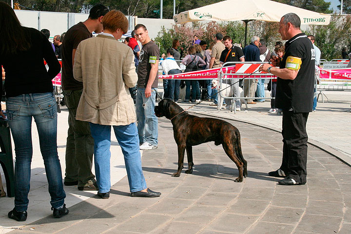 CACIB Alghero
