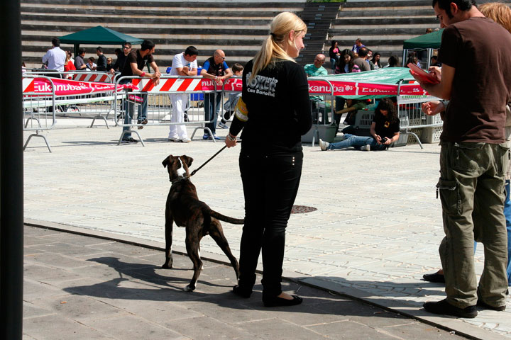 CACIB Alghero