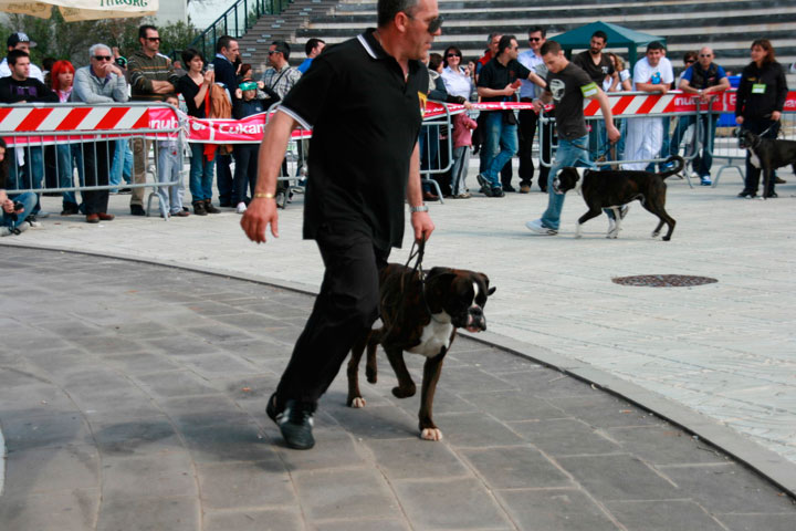 CACIB Alghero
