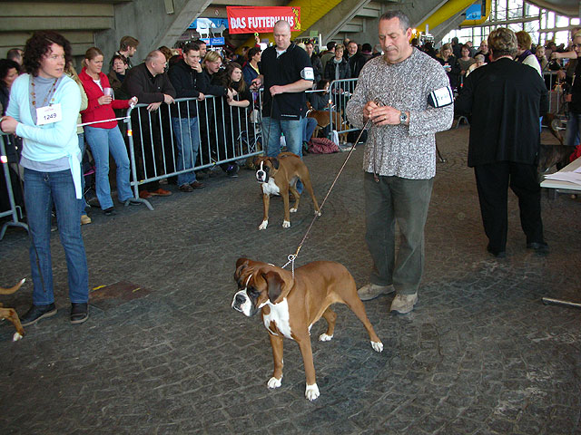 CACIB Munchen