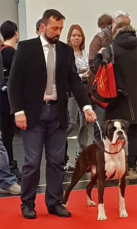 CACIB Norimberga 2018 (D)