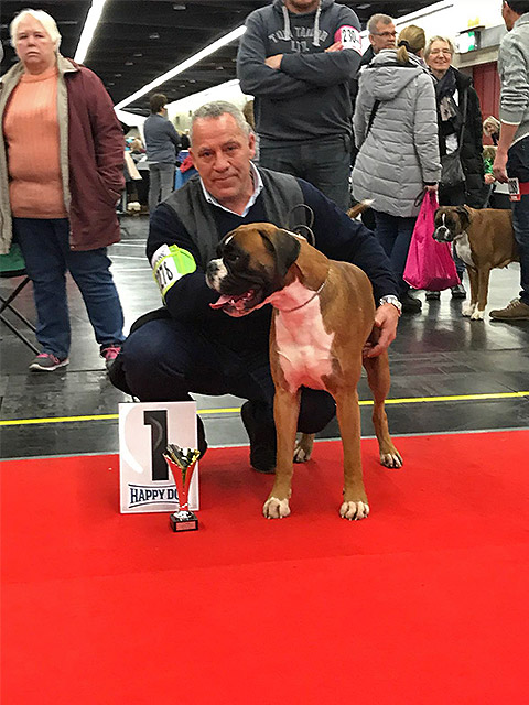CACIB Norimberga 2018 (D)