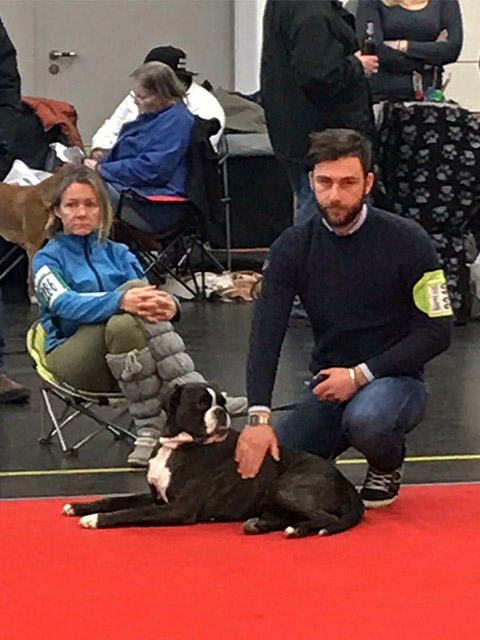 CACIB Norimberga 2018 (D)