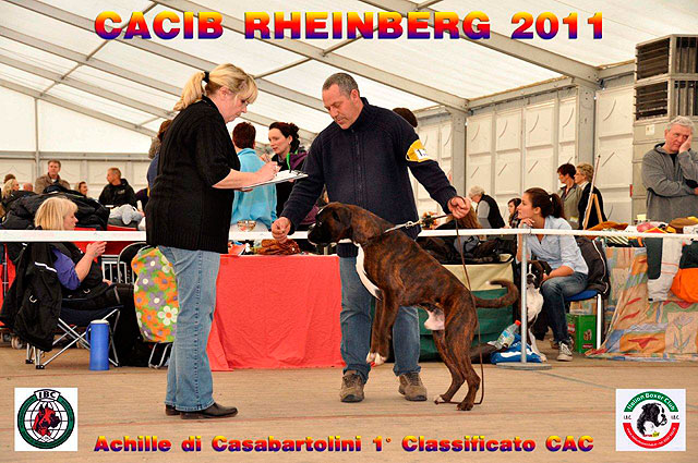 CACIB Rheinberg