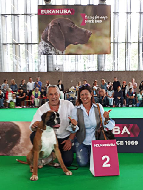 World Dog Show Amsterdam 2018 (N)