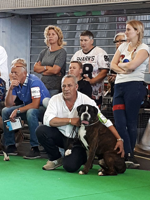 World Dog Show Amsterdam 2018 (N)