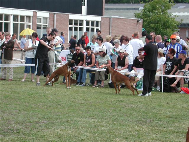 Atibox 2004