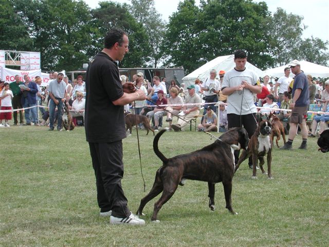 Atibox 2004