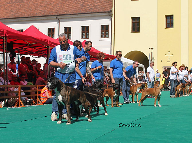 Atibox Oradea