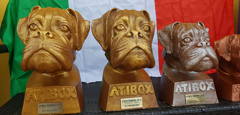 Atibox Oradea