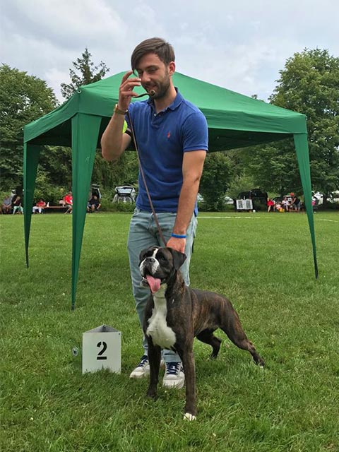 Boxer-Klub München E.V. 2018 (D)