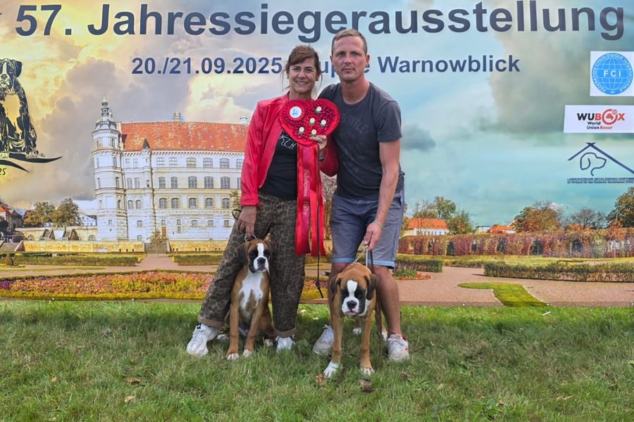 Jahressieger 2025