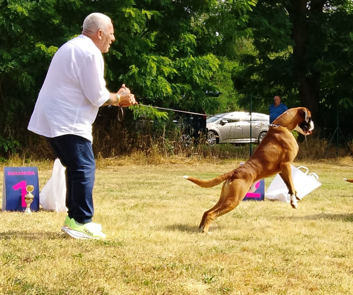 Bitterfeld 2026