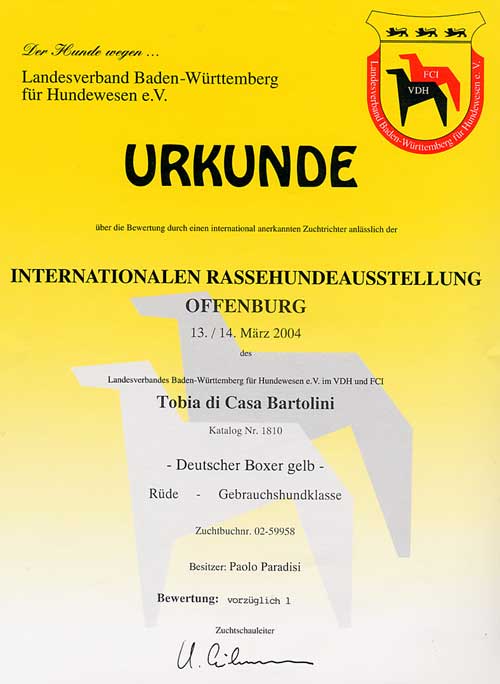 Internazionale Offenburg