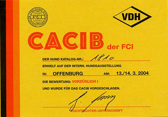 Internazionale Offenburg