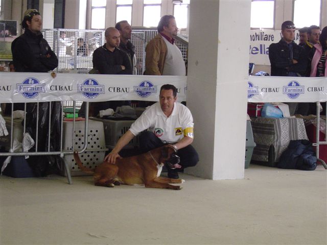 Internazionale Viterbo